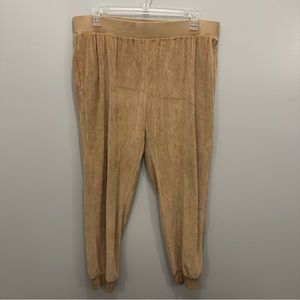 Abound Womens Jogger Velour Pull-On Hi-Rise Pant. Women’s 1X.